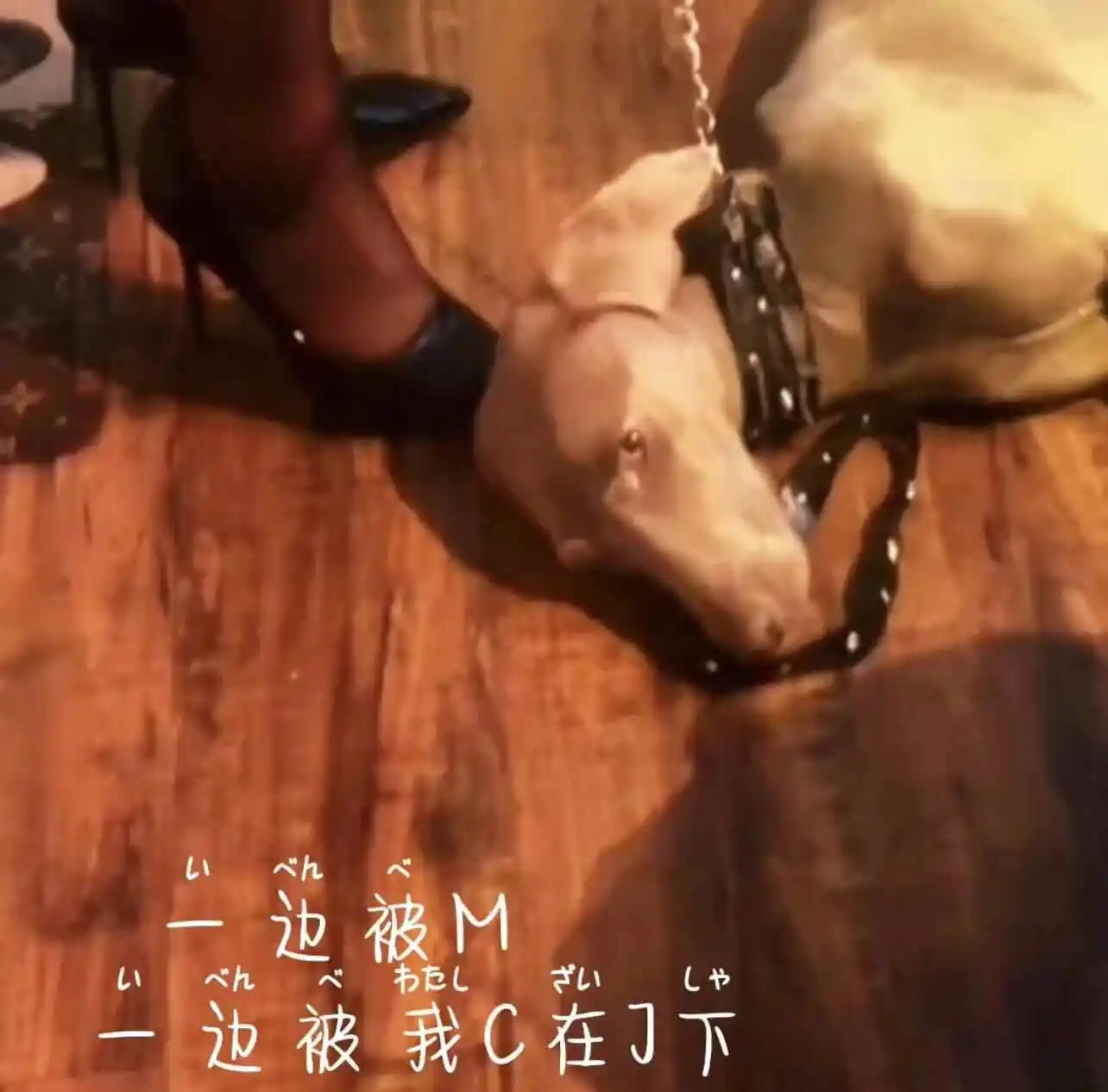 【西檬之家】BDSM女王指南：如何成为受控者信赖的Domme