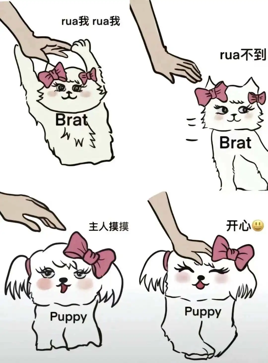 西檬之家-字母圈Sp实践指南