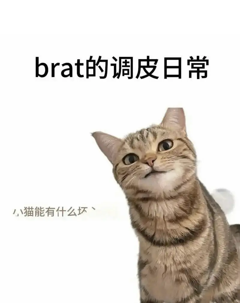 西檬之家-BDSM字母圈新人入圈指南