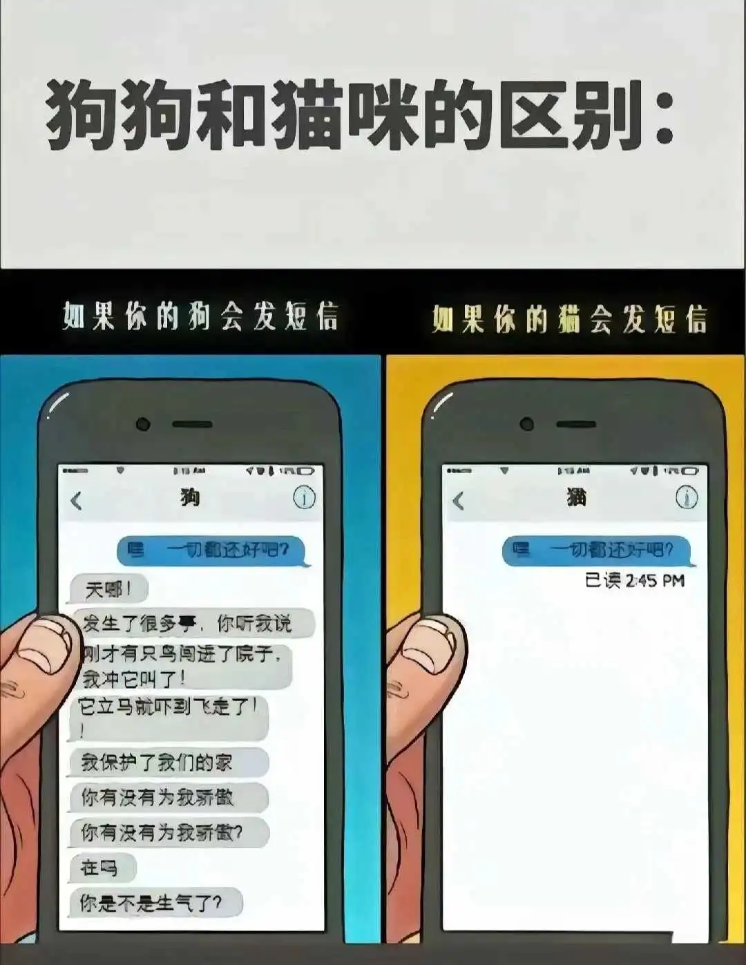 大圈 - 微信图片_20250713011414