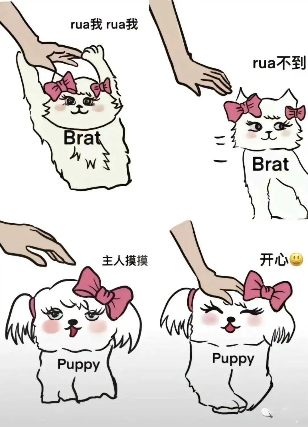 西檬之家-【恋足癖是什么？你的字母圈属性是什么？】