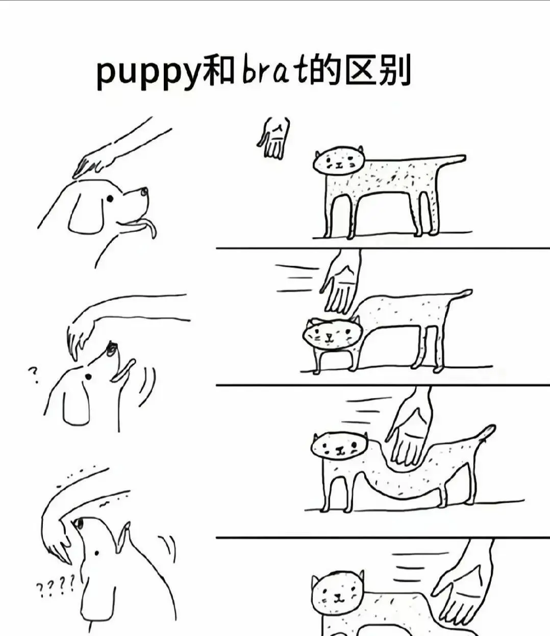 【西檬之家-字母圈DS关系指南：新人入门权威解析】