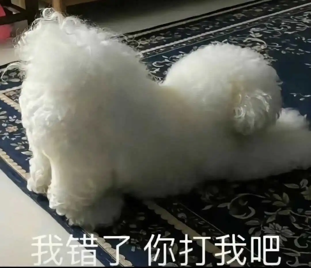 西檬之家-斯慕圈是什么？字母圈新人权威入圈指南