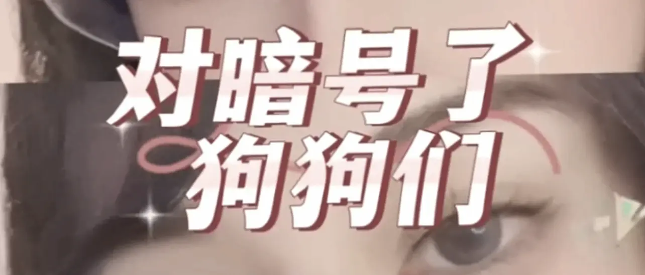 西檬之家-BDSM新人指南：从入门到精通