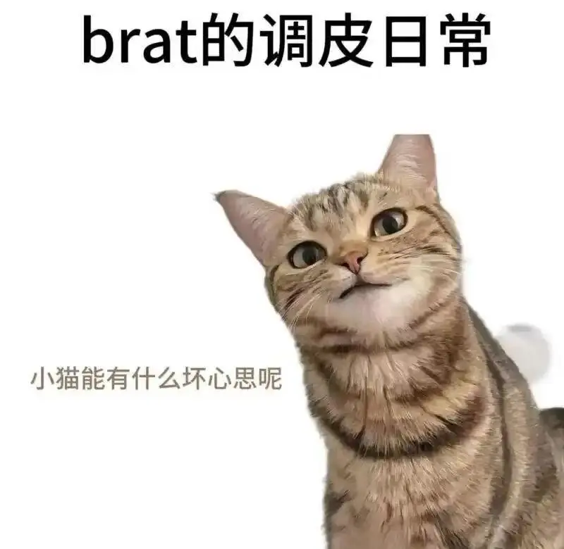 西檬之家-字母圈新人入圈权威指南：理解BDSM的核心与术语